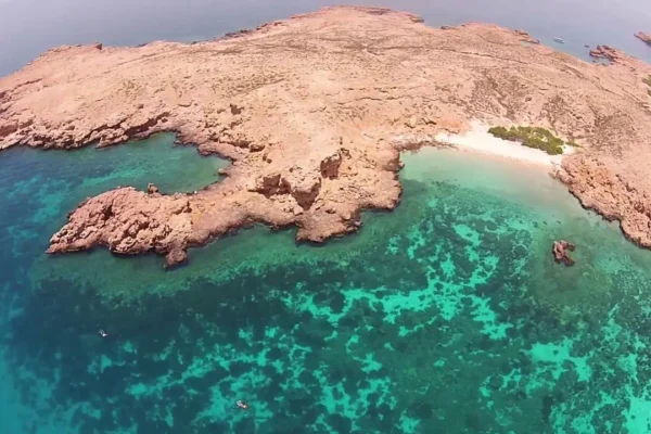 Private Boat Snorkeling Trip (Full Day)
