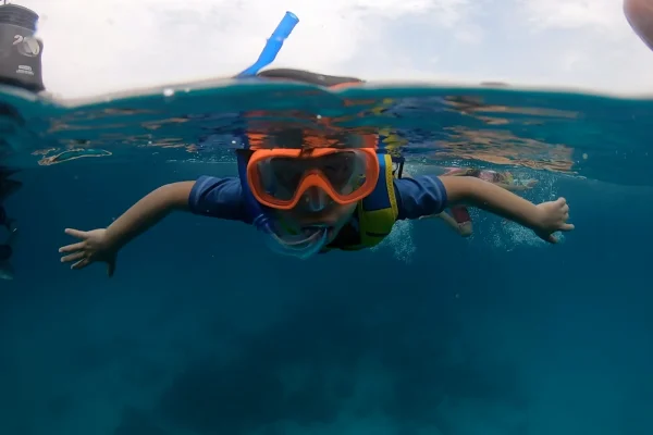Dimaniyat Island Snorkeling Trip
