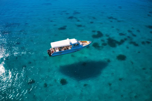 Private Boat Snorkeling Trip (Full Day)