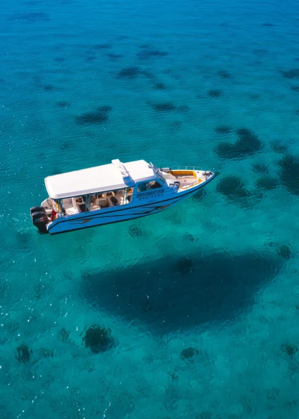 Private Boat Snorkeling Trip (Half Day)