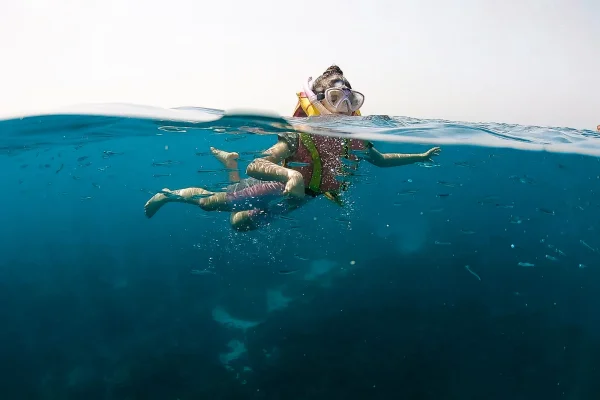 Dimaniyat Island Snorkeling Trip