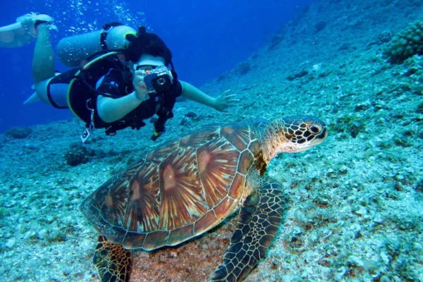 Private Boat Snorkeling Trip (Full Day)