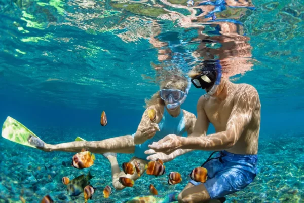 Private Boat Snorkeling Trip (Full Day)